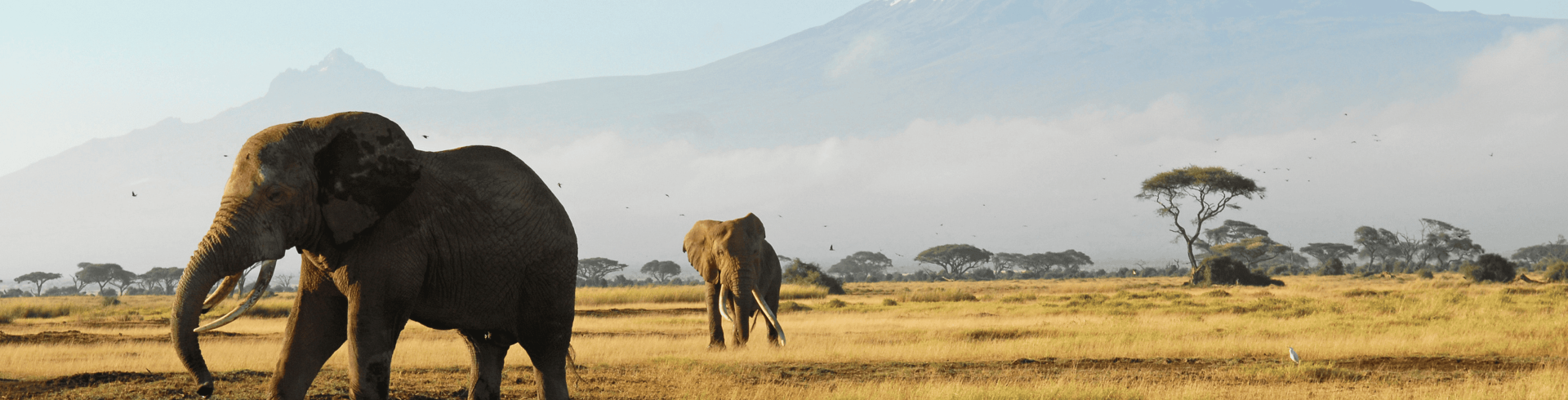 �frica do Sul Essencial